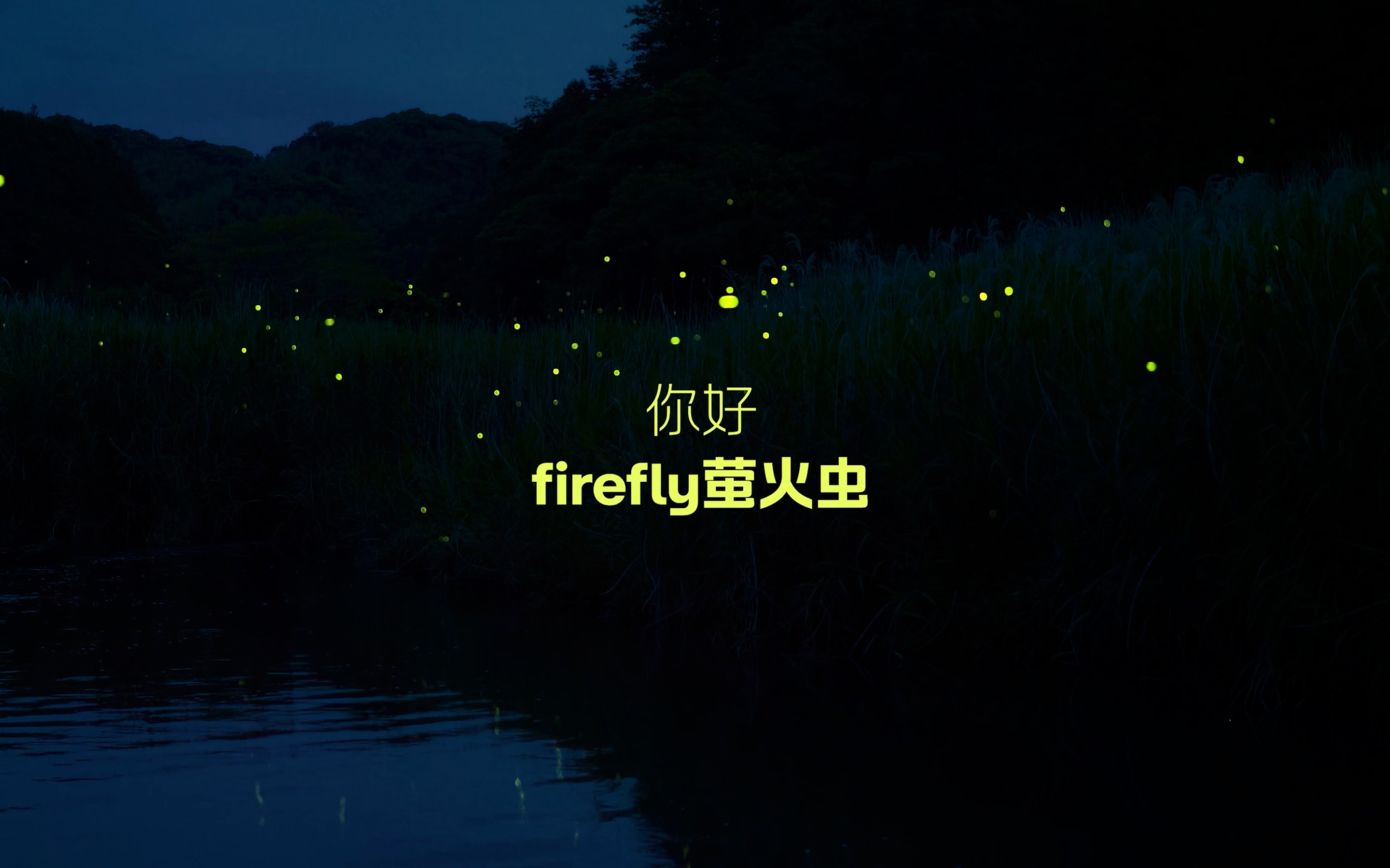 你好,firefly萤火虫-firefly萤火虫官网